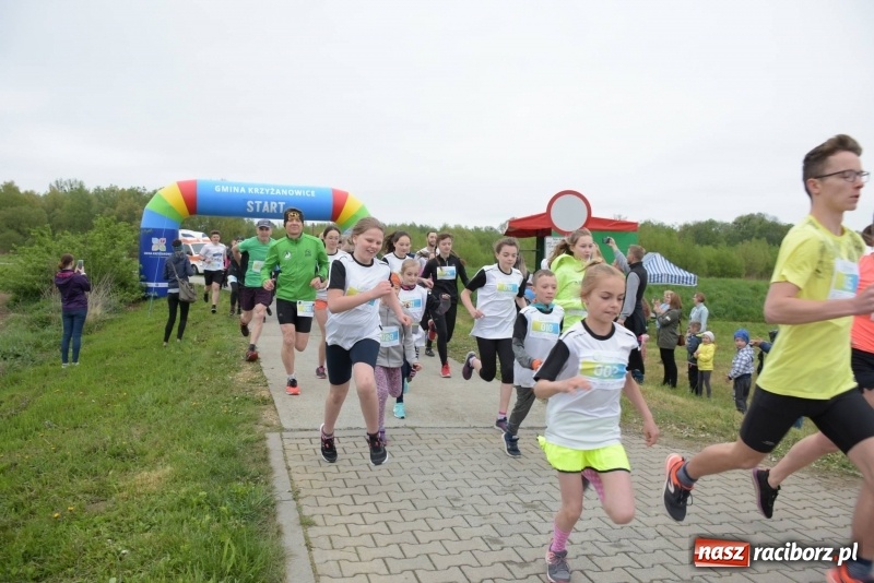 Zdjęcie w galerii na portalu naszraciborz.pl: Biegli i maszerowali, by pomóc Zosi [FOTO] wiadomości z regionu