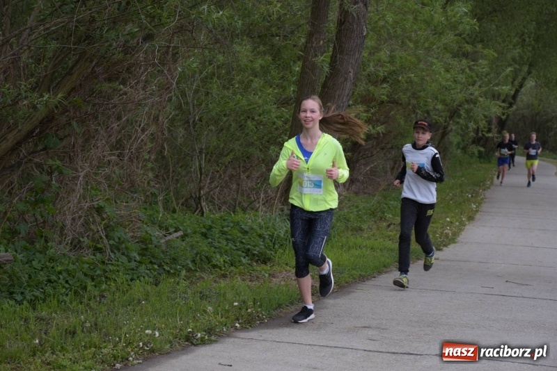 Zdjęcie w galerii na portalu naszraciborz.pl: Biegli i maszerowali, by pomóc Zosi [FOTO] wiadomości z regionu