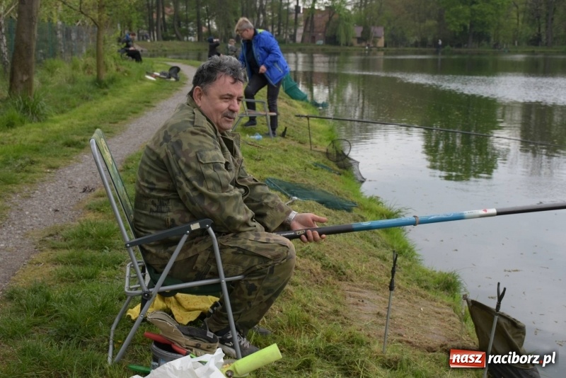 Zdjęcie w galerii na portalu naszraciborz.pl: Karpie dawały miejsce w czołówce. Wędkarze rozpoczęli sezon  wiadomości z regionu