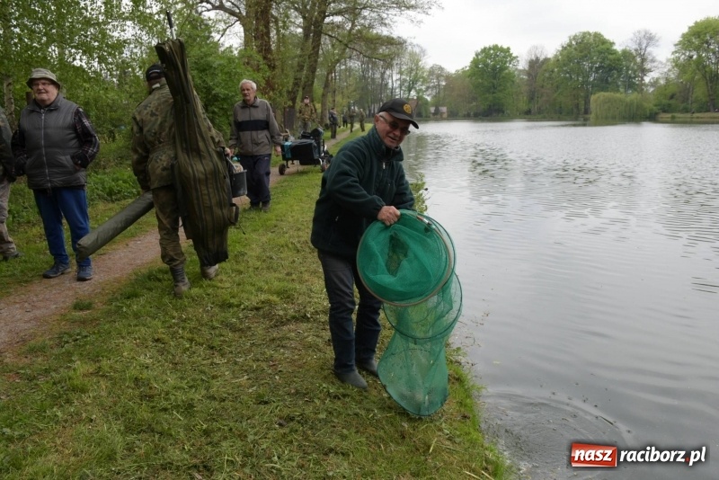 Zdjęcie w galerii na portalu naszraciborz.pl: Karpie dawały miejsce w czołówce. Wędkarze rozpoczęli sezon  wiadomości z regionu