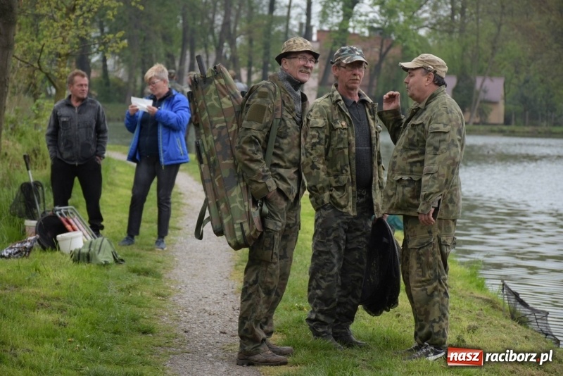 Zdjęcie w galerii na portalu naszraciborz.pl: Karpie dawały miejsce w czołówce. Wędkarze rozpoczęli sezon  wiadomości z regionu