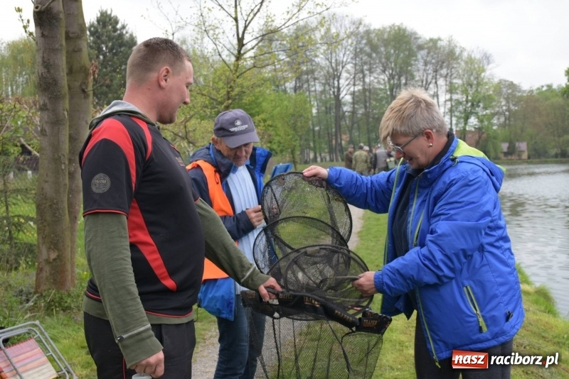 Zdjęcie w galerii na portalu naszraciborz.pl: Karpie dawały miejsce w czołówce. Wędkarze rozpoczęli sezon  wiadomości z regionu