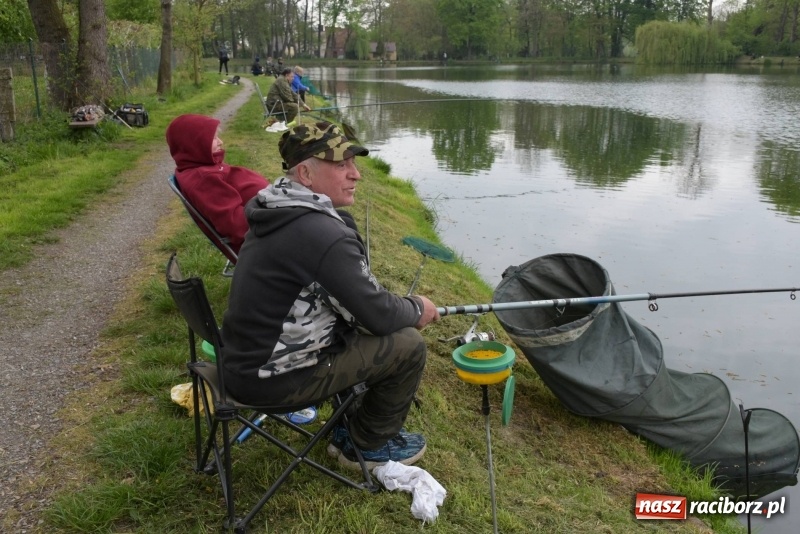 Zdjęcie w galerii na portalu naszraciborz.pl: Karpie dawały miejsce w czołówce. Wędkarze rozpoczęli sezon  wiadomości z regionu