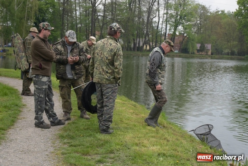 Zdjęcie w galerii na portalu naszraciborz.pl: Karpie dawały miejsce w czołówce. Wędkarze rozpoczęli sezon  wiadomości z regionu