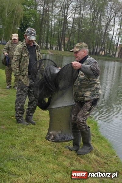 Zdjęcie w galerii na portalu naszraciborz.pl: Karpie dawały miejsce w czołówce. Wędkarze rozpoczęli sezon  wiadomości z regionu