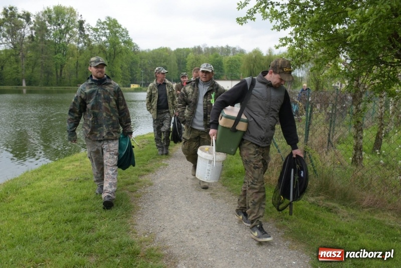 Zdjęcie w galerii na portalu naszraciborz.pl: Karpie dawały miejsce w czołówce. Wędkarze rozpoczęli sezon  wiadomości z regionu