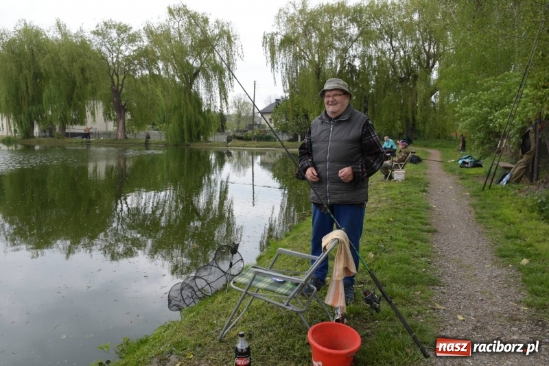 Zdjęcie w galerii na portalu naszraciborz.pl: Karpie dawały miejsce w czołówce. Wędkarze rozpoczęli sezon  wiadomości z regionu