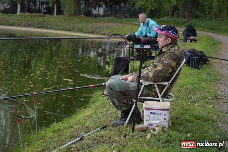 Zdjęcie w galerii na portalu naszraciborz.pl: Karpie dawały miejsce w czołówce. Wędkarze rozpoczęli sezon  wiadomości z regionu