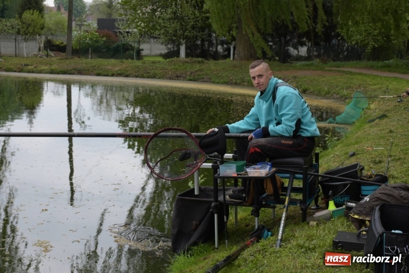 Zdjęcie w galerii na portalu naszraciborz.pl: Karpie dawały miejsce w czołówce. Wędkarze rozpoczęli sezon  wiadomości z regionu