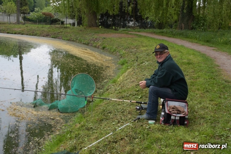 Zdjęcie w galerii na portalu naszraciborz.pl: Karpie dawały miejsce w czołówce. Wędkarze rozpoczęli sezon  wiadomości z regionu