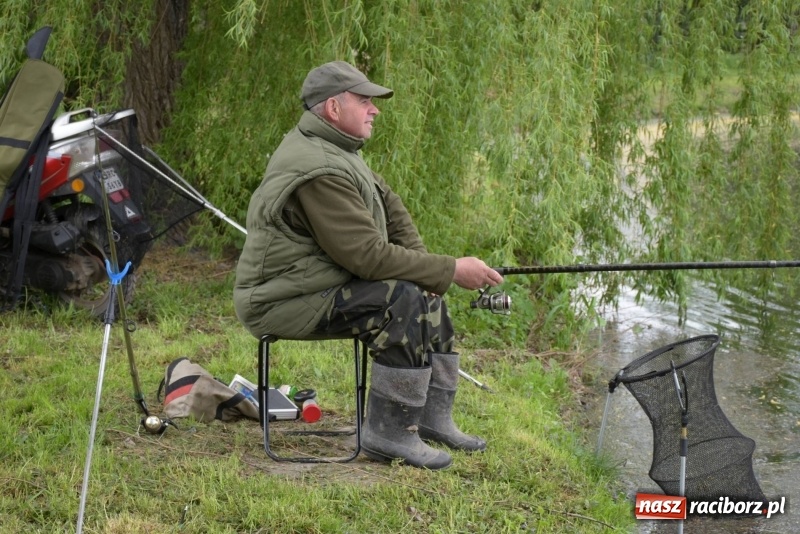 Zdjęcie w galerii na portalu naszraciborz.pl: Karpie dawały miejsce w czołówce. Wędkarze rozpoczęli sezon  wiadomości z regionu