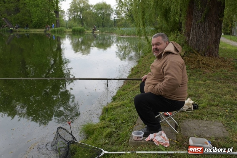 Zdjęcie w galerii na portalu naszraciborz.pl: Karpie dawały miejsce w czołówce. Wędkarze rozpoczęli sezon  wiadomości z regionu