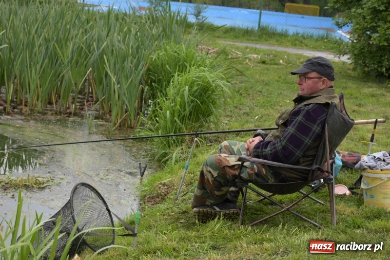 Zdjęcie w galerii na portalu naszraciborz.pl: Karpie dawały miejsce w czołówce. Wędkarze rozpoczęli sezon  wiadomości z regionu