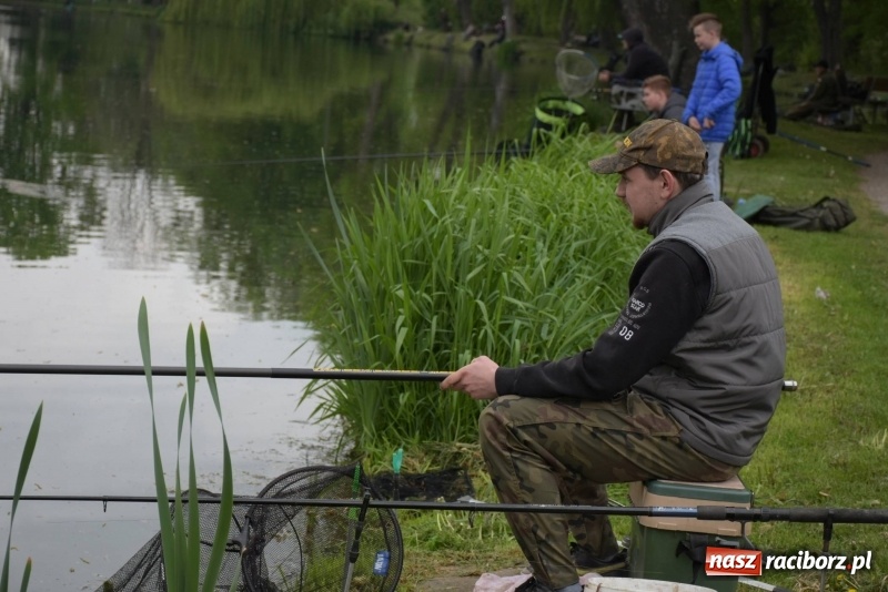 Zdjęcie w galerii na portalu naszraciborz.pl: Karpie dawały miejsce w czołówce. Wędkarze rozpoczęli sezon  wiadomości z regionu