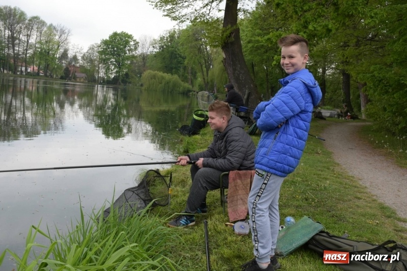 Zdjęcie w galerii na portalu naszraciborz.pl: Karpie dawały miejsce w czołówce. Wędkarze rozpoczęli sezon  wiadomości z regionu
