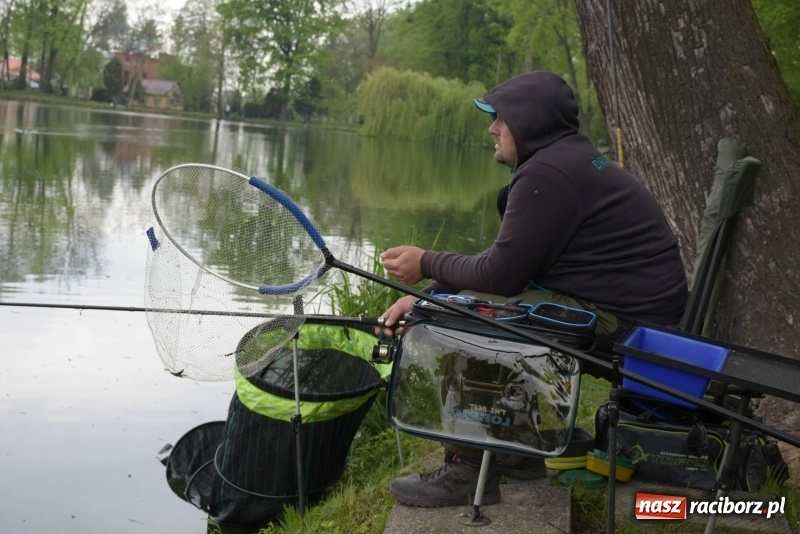 Zdjęcie w galerii na portalu naszraciborz.pl: Karpie dawały miejsce w czołówce. Wędkarze rozpoczęli sezon  wiadomości z regionu