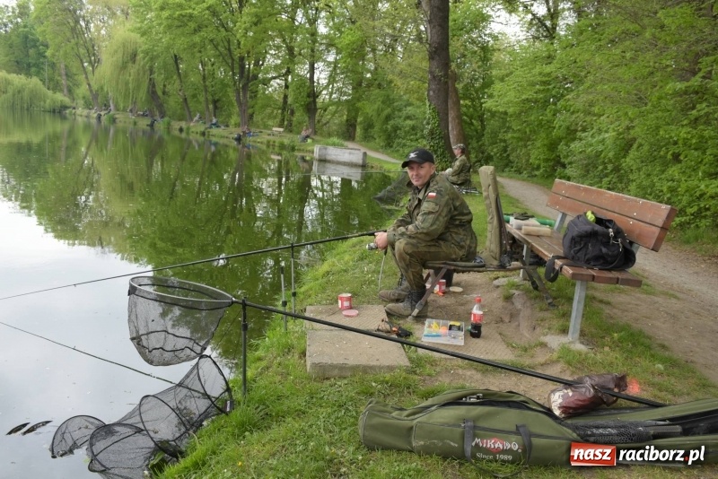 Zdjęcie w galerii na portalu naszraciborz.pl: Karpie dawały miejsce w czołówce. Wędkarze rozpoczęli sezon  wiadomości z regionu