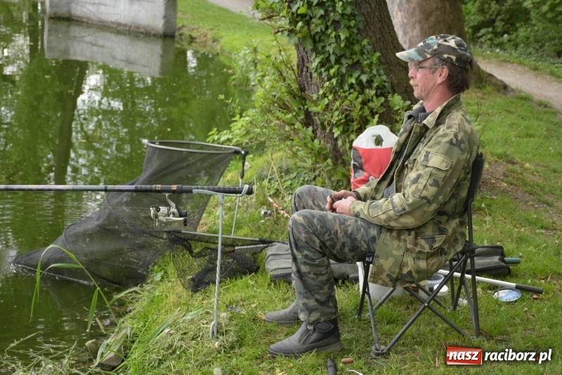 Zdjęcie w galerii na portalu naszraciborz.pl: Karpie dawały miejsce w czołówce. Wędkarze rozpoczęli sezon  wiadomości z regionu