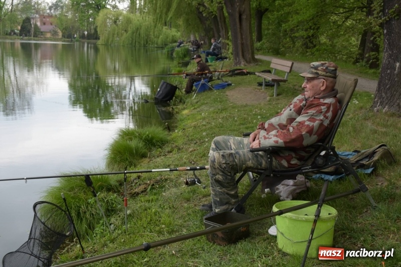 Zdjęcie w galerii na portalu naszraciborz.pl: Karpie dawały miejsce w czołówce. Wędkarze rozpoczęli sezon  wiadomości z regionu