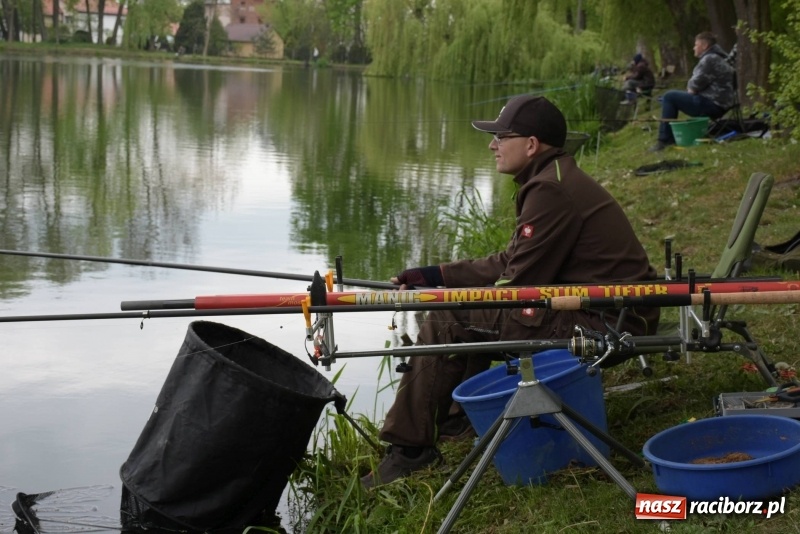 Zdjęcie w galerii na portalu naszraciborz.pl: Karpie dawały miejsce w czołówce. Wędkarze rozpoczęli sezon  wiadomości z regionu