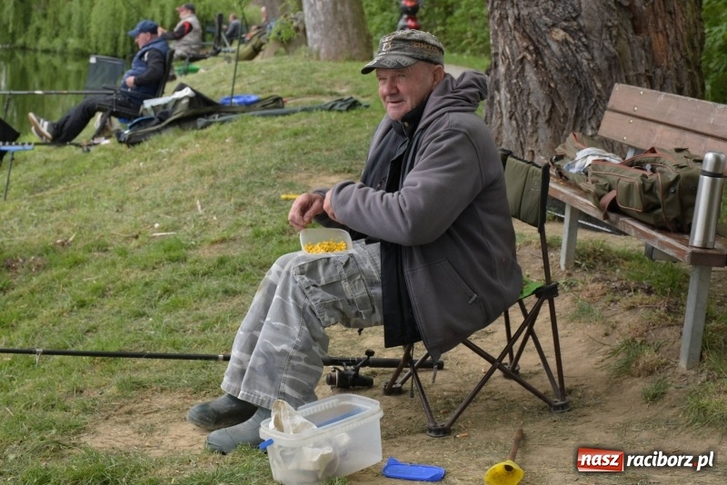 Zdjęcie w galerii na portalu naszraciborz.pl: Karpie dawały miejsce w czołówce. Wędkarze rozpoczęli sezon  wiadomości z regionu