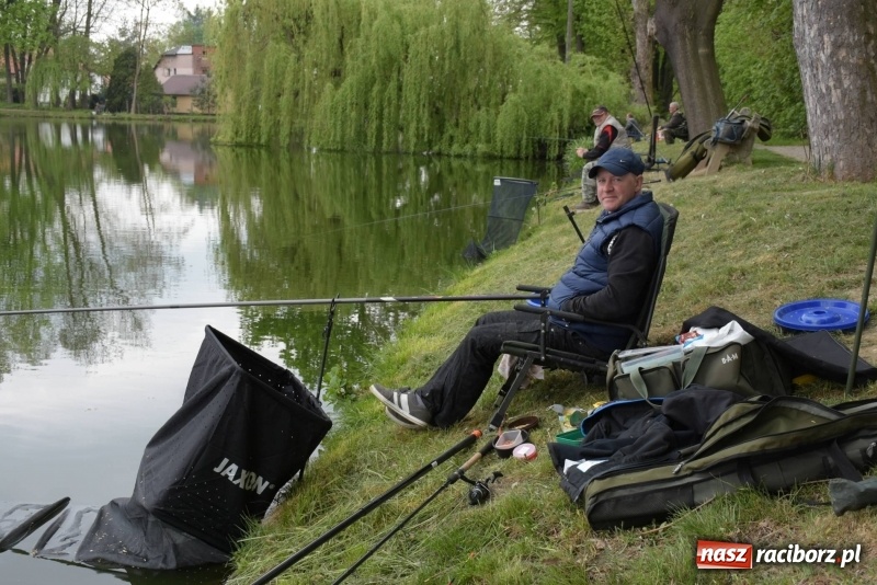 Zdjęcie w galerii na portalu naszraciborz.pl: Karpie dawały miejsce w czołówce. Wędkarze rozpoczęli sezon  wiadomości z regionu