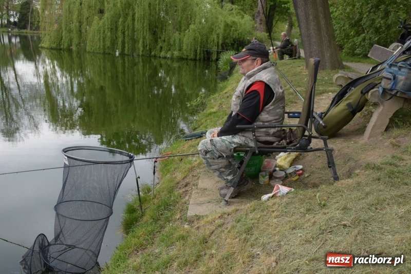 Zdjęcie w galerii na portalu naszraciborz.pl: Karpie dawały miejsce w czołówce. Wędkarze rozpoczęli sezon  wiadomości z regionu