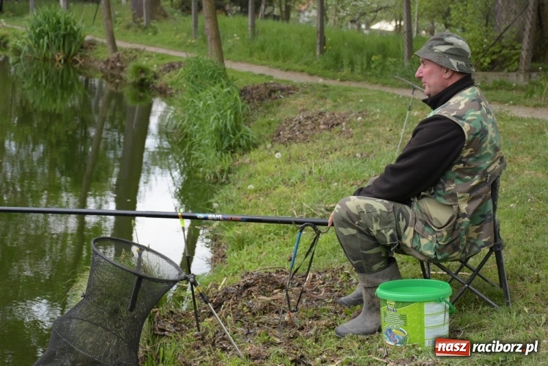 Zdjęcie w galerii na portalu naszraciborz.pl: Karpie dawały miejsce w czołówce. Wędkarze rozpoczęli sezon  wiadomości z regionu