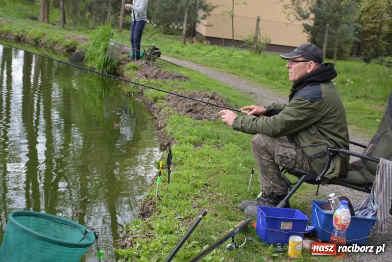 Zdjęcie w galerii na portalu naszraciborz.pl: Karpie dawały miejsce w czołówce. Wędkarze rozpoczęli sezon  wiadomości z regionu