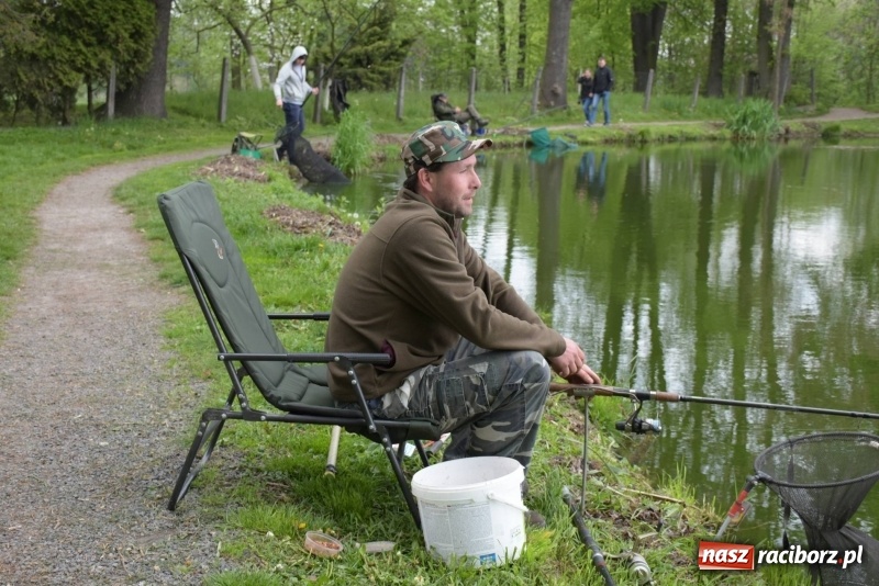 Zdjęcie w galerii na portalu naszraciborz.pl: Karpie dawały miejsce w czołówce. Wędkarze rozpoczęli sezon  wiadomości z regionu