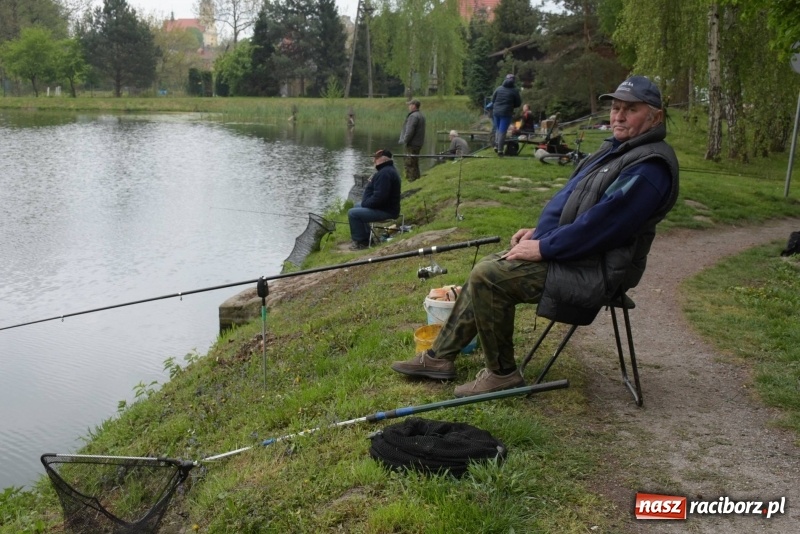 Zdjęcie w galerii na portalu naszraciborz.pl: Karpie dawały miejsce w czołówce. Wędkarze rozpoczęli sezon  wiadomości z regionu