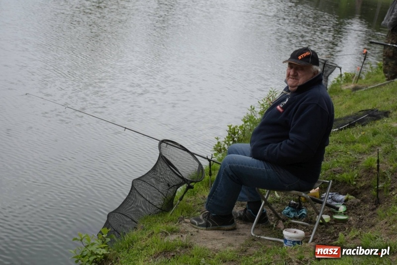 Zdjęcie w galerii na portalu naszraciborz.pl: Karpie dawały miejsce w czołówce. Wędkarze rozpoczęli sezon  wiadomości z regionu
