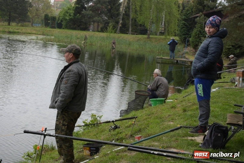 Zdjęcie w galerii na portalu naszraciborz.pl: Karpie dawały miejsce w czołówce. Wędkarze rozpoczęli sezon  wiadomości z regionu