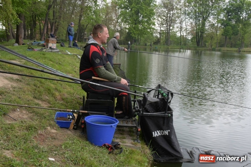 Zdjęcie w galerii na portalu naszraciborz.pl: Karpie dawały miejsce w czołówce. Wędkarze rozpoczęli sezon  wiadomości z regionu