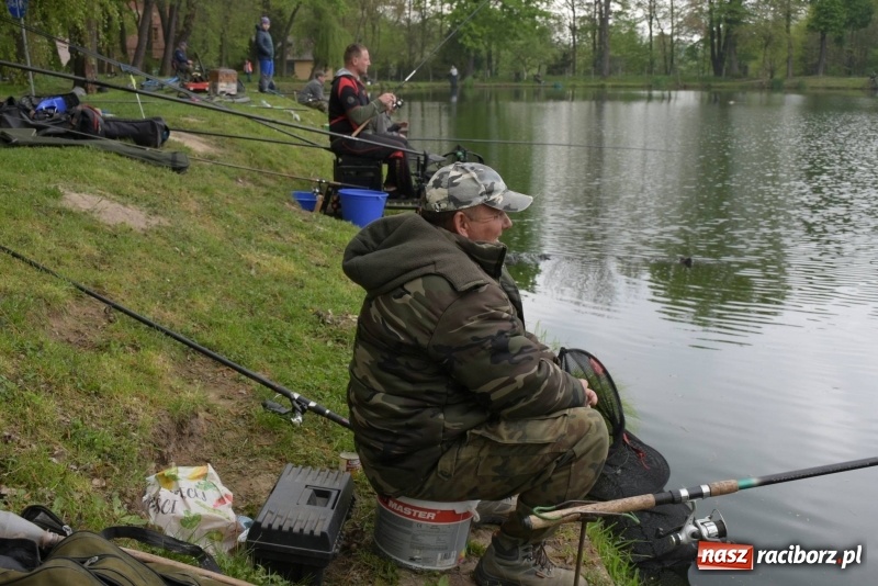 Zdjęcie w galerii na portalu naszraciborz.pl: Karpie dawały miejsce w czołówce. Wędkarze rozpoczęli sezon  wiadomości z regionu