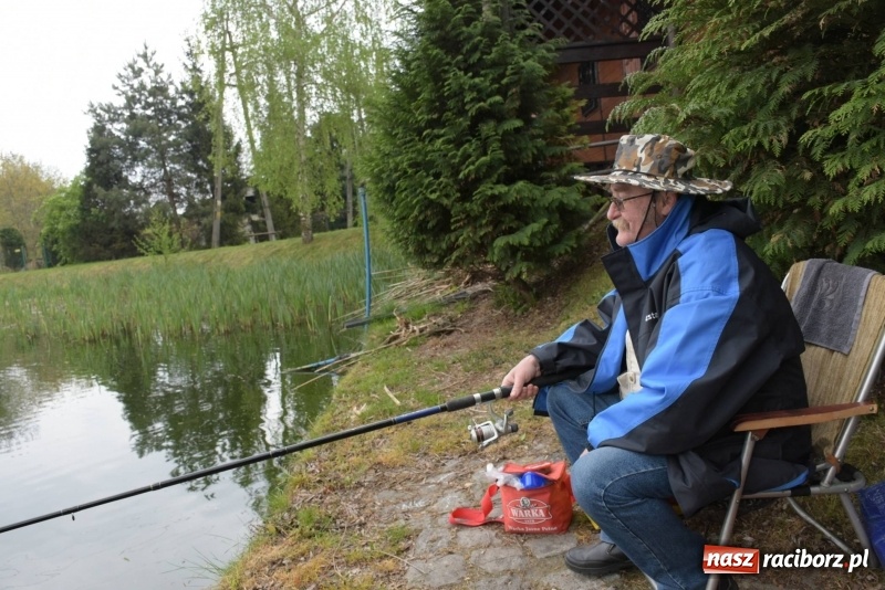 Zdjęcie w galerii na portalu naszraciborz.pl: Karpie dawały miejsce w czołówce. Wędkarze rozpoczęli sezon  wiadomości z regionu