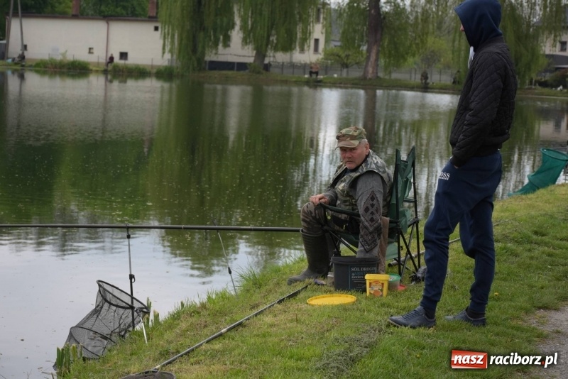 Zdjęcie w galerii na portalu naszraciborz.pl: Karpie dawały miejsce w czołówce. Wędkarze rozpoczęli sezon  wiadomości z regionu