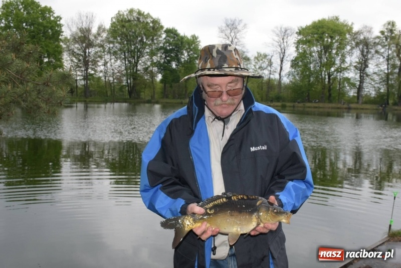 Zdjęcie w galerii na portalu naszraciborz.pl: Karpie dawały miejsce w czołówce. Wędkarze rozpoczęli sezon  wiadomości z regionu