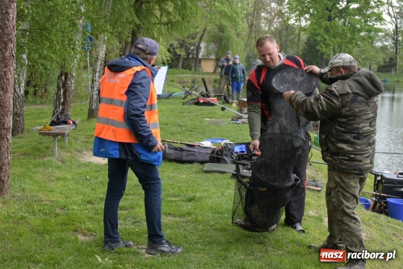 Zdjęcie w galerii na portalu naszraciborz.pl: Karpie dawały miejsce w czołówce. Wędkarze rozpoczęli sezon  wiadomości z regionu