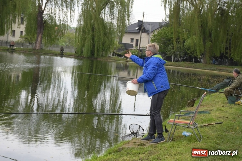 Zdjęcie w galerii na portalu naszraciborz.pl: Karpie dawały miejsce w czołówce. Wędkarze rozpoczęli sezon  wiadomości z regionu