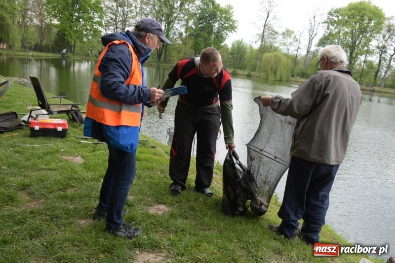 Zdjęcie w galerii na portalu naszraciborz.pl: Karpie dawały miejsce w czołówce. Wędkarze rozpoczęli sezon  wiadomości z regionu