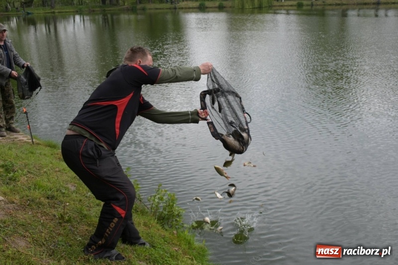 Zdjęcie w galerii na portalu naszraciborz.pl: Karpie dawały miejsce w czołówce. Wędkarze rozpoczęli sezon  wiadomości z regionu