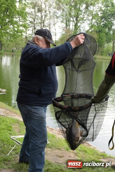 Zdjęcie w galerii na portalu naszraciborz.pl: Karpie dawały miejsce w czołówce. Wędkarze rozpoczęli sezon  wiadomości z regionu