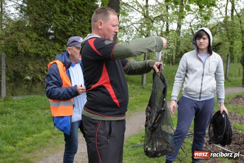 Zdjęcie w galerii na portalu naszraciborz.pl: Karpie dawały miejsce w czołówce. Wędkarze rozpoczęli sezon  wiadomości z regionu