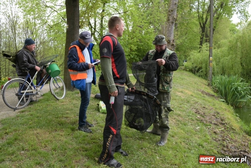 Zdjęcie w galerii na portalu naszraciborz.pl: Karpie dawały miejsce w czołówce. Wędkarze rozpoczęli sezon  wiadomości z regionu