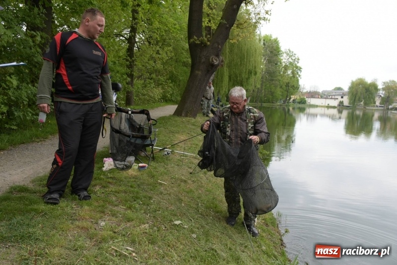 Zdjęcie w galerii na portalu naszraciborz.pl: Karpie dawały miejsce w czołówce. Wędkarze rozpoczęli sezon  wiadomości z regionu