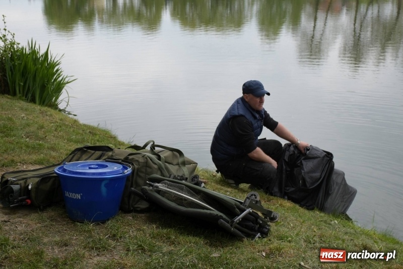 Zdjęcie w galerii na portalu naszraciborz.pl: Karpie dawały miejsce w czołówce. Wędkarze rozpoczęli sezon  wiadomości z regionu