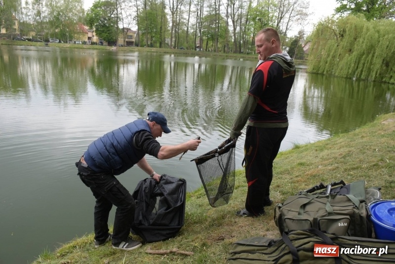 Zdjęcie w galerii na portalu naszraciborz.pl: Karpie dawały miejsce w czołówce. Wędkarze rozpoczęli sezon  wiadomości z regionu