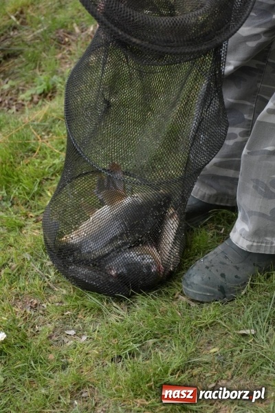 Zdjęcie w galerii na portalu naszraciborz.pl: Karpie dawały miejsce w czołówce. Wędkarze rozpoczęli sezon  wiadomości z regionu