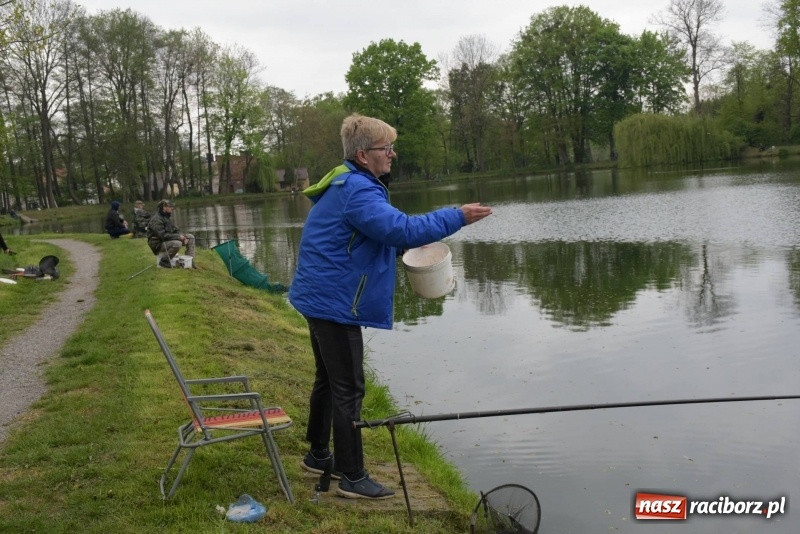 Zdjęcie w galerii na portalu naszraciborz.pl: Karpie dawały miejsce w czołówce. Wędkarze rozpoczęli sezon  wiadomości z regionu